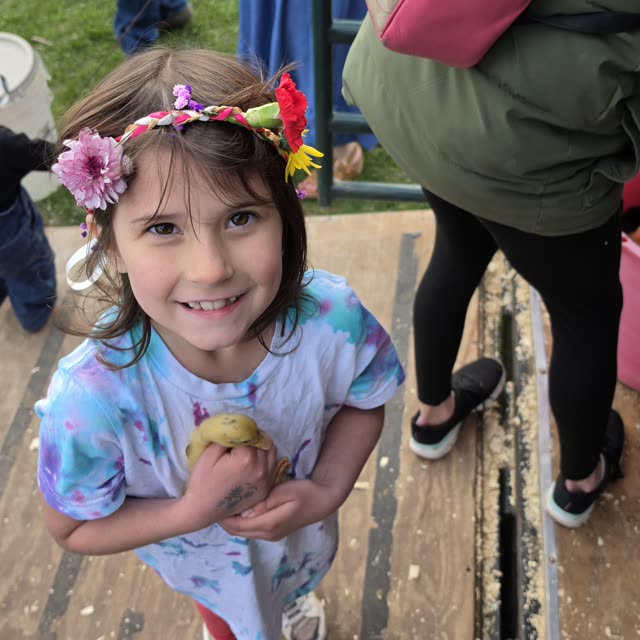 A student in a flower crown holding a day-old chick at the May Faire