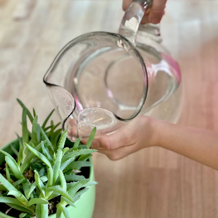 A child pouring water from a glass pitcher into a small glass beside a potted plant
