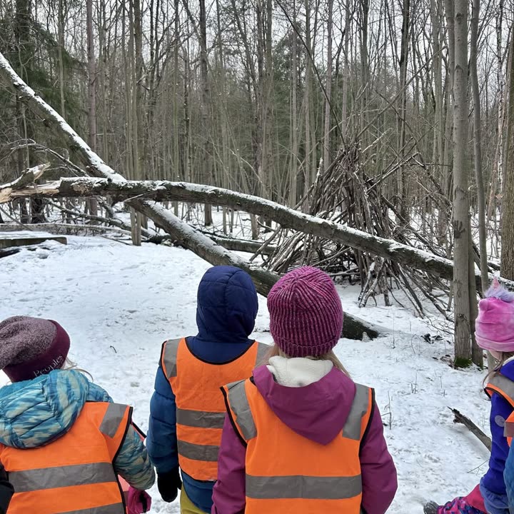 Students in winter hats and safety vests standing among fallen trees in a snowy woodland